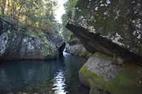 Book Salisbury Accommodation Vacations Australian Directory Australian Directory