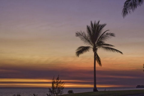 Seaview Studio - Australian Directory 0