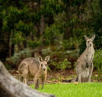 Secura Lifestyle Countryside Kalaru - Australian Directory