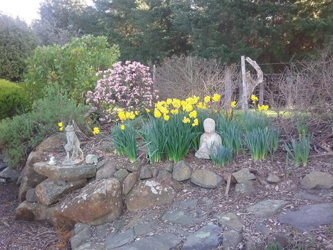 Sherwood View Accommodation - Australian Directory 1