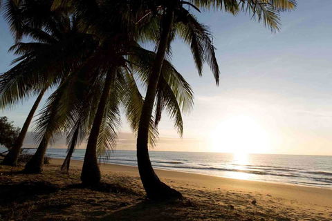 Spice At Oak Award Winning Luxury Absolute Oceanfront House Oak Beach Near Port Douglas - Australian Directory 1