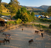 Spring Spur - Australian Directory