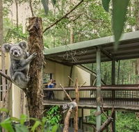 Springwood Meditation Centre - Australian Directory