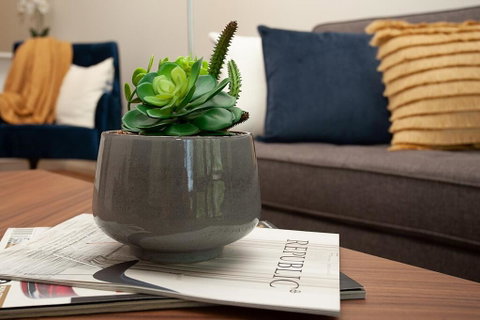 STAY&CO North Sydney Crows Nest - Australian Directory 1