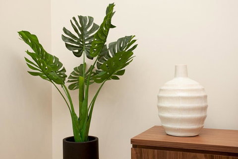 STAY&CO North Sydney Crows Nest - Australian Directory 2