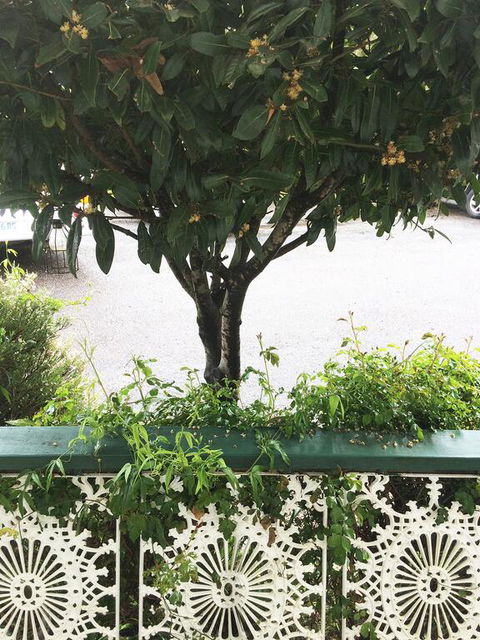 Strahan Wilderness Lodge - Australian Directory 3