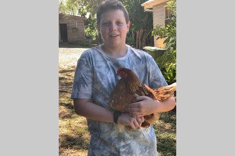 Stunning Queenslander - Australian Directory 2