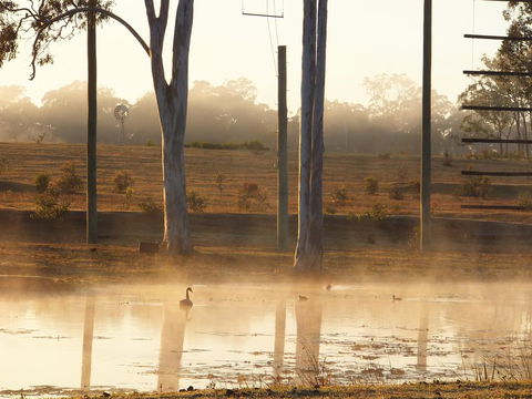 Susan River Homestead - Australian Directory 3