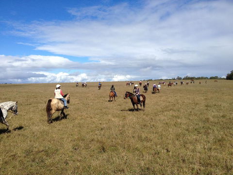 Susan River Homestead - Australian Directory 0