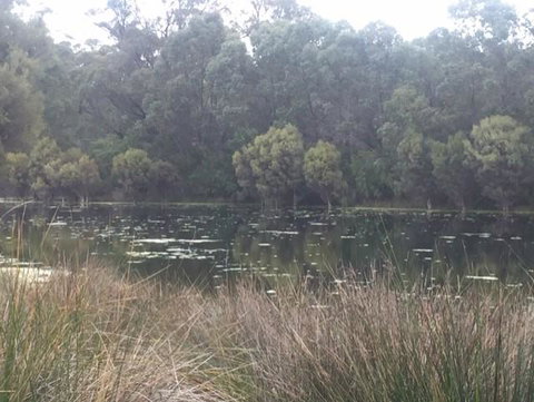 Telperon (2 Rooms, 3-4 Guests) - Australian Directory 1