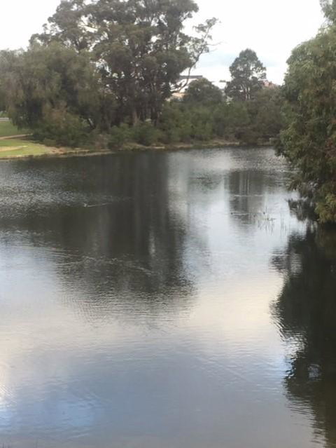 Telperon (2 Rooms, 3-4 Guests) - Australian Directory 3