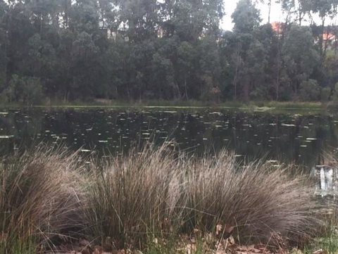 Telperon (2 Rooms, 3-4 Guests) - Australian Directory 2