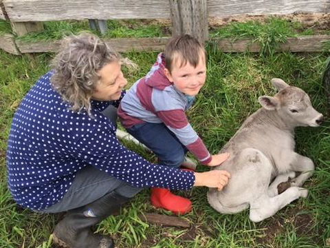 Ellie\'s Cottages - Australian Directory 41