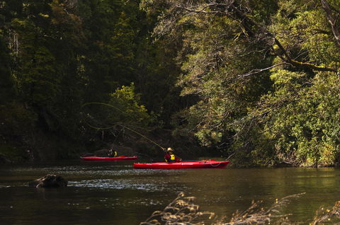 Corinna Wilderness Village - Australian Directory 38