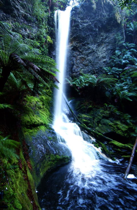 Corinna Wilderness Village - Australian Directory 40