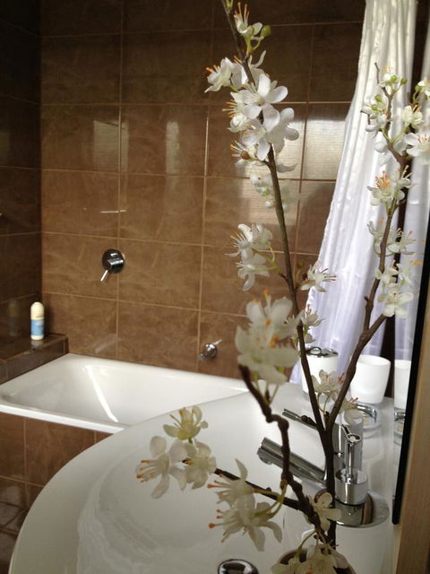 Ulverstone Boutique Accomodation - Australian Directory 36