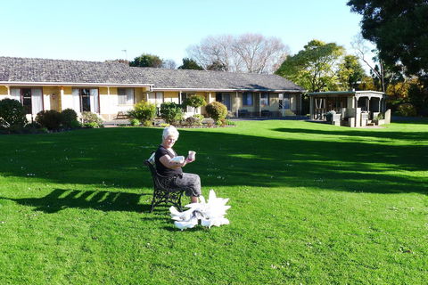 Willaway Motel Apartments - Australian Directory 10