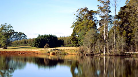 Buttons Cottage For Canyon & Rain Forest Walks With In House Dining - Australian Directory 29