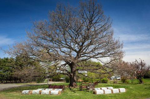 Ratho Farm - Australian Directory 8