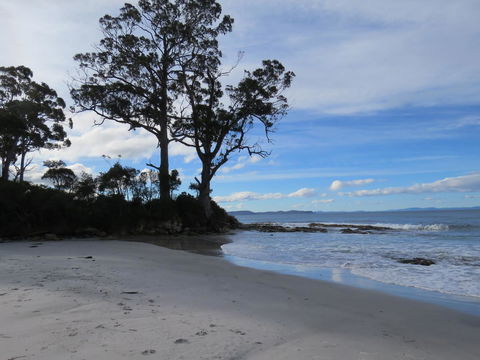 Captain Cook Holiday Park - Australian Directory 9