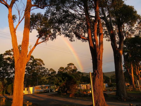 Captain Cook Holiday Park - Australian Directory 12