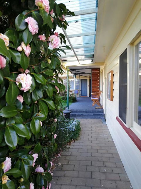 Wintersun Gardens Motel - Australian Directory 5