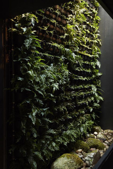 Moss Hotel - Australian Directory 2