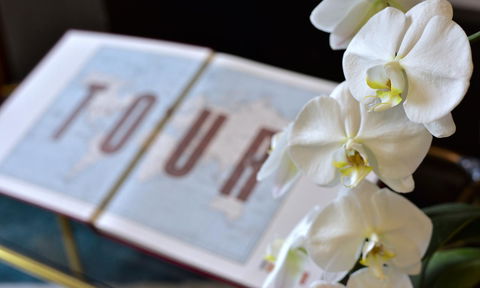 Lotus Gogh Apartment - Australian Directory 6