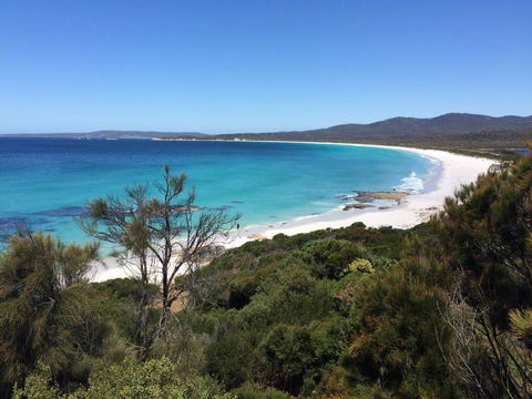 Holland House Bay Of Fires - Australian Directory 15