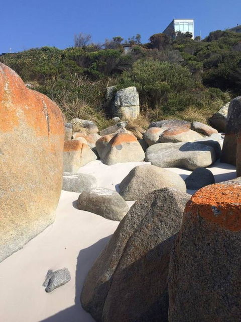 Holland House Bay Of Fires - Australian Directory 5
