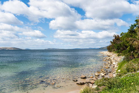 Litora Accommodation - Australian Directory 27