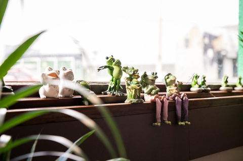 The Pickled Frog - Australian Directory 12