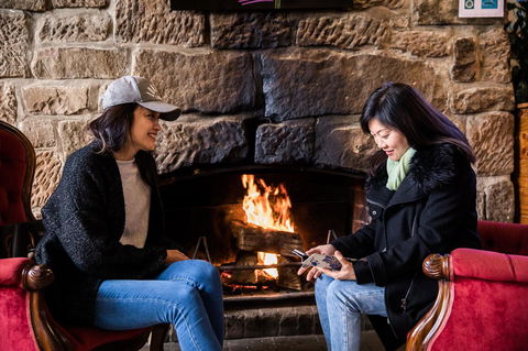 The Pickled Frog - Australian Directory 6