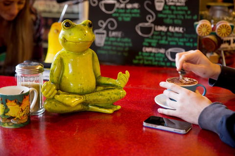 The Pickled Frog - Australian Directory 30