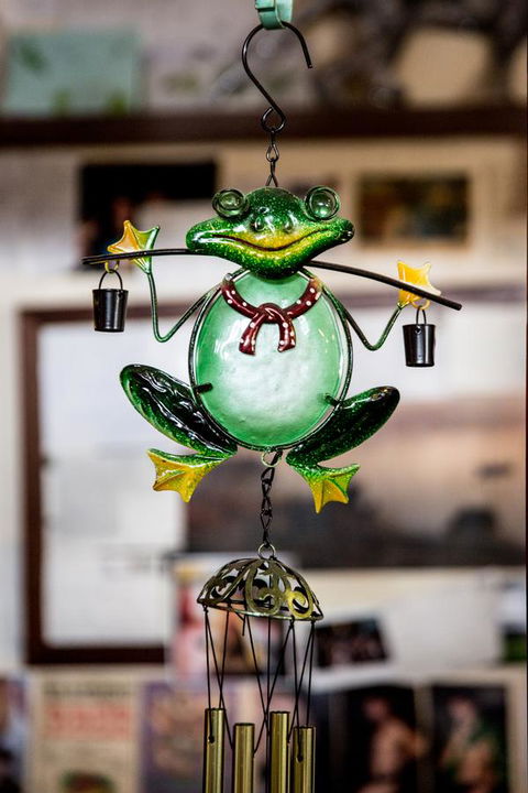 The Pickled Frog - Australian Directory 35