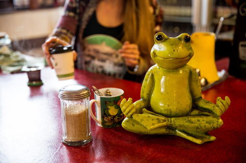 The Pickled Frog - Australian Directory 32