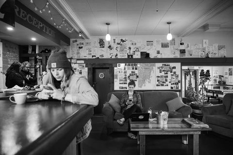 The Pickled Frog - Australian Directory 25