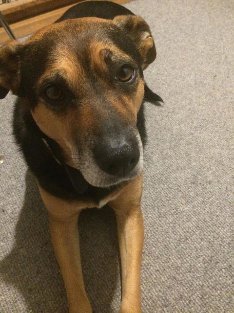 Elizaâ€™s Lovely Home - Australian Directory 5