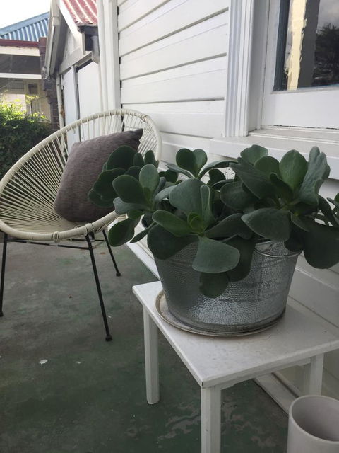 Elizaâ€™s Lovely Home - Australian Directory 2