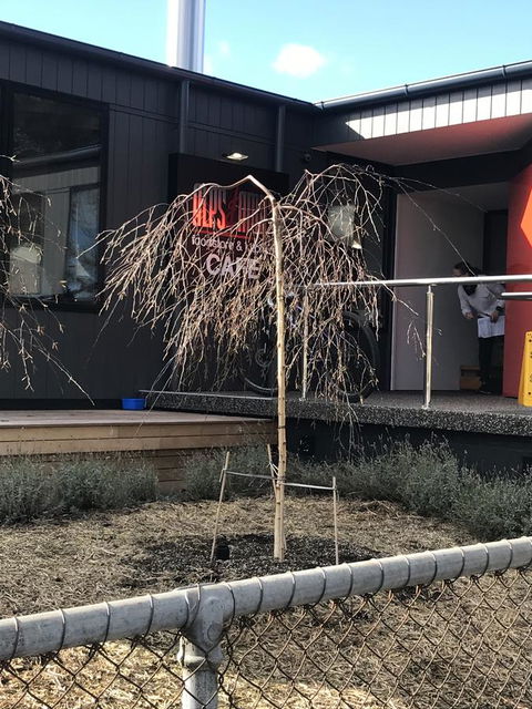 Maple Cottage - Australian Directory 19