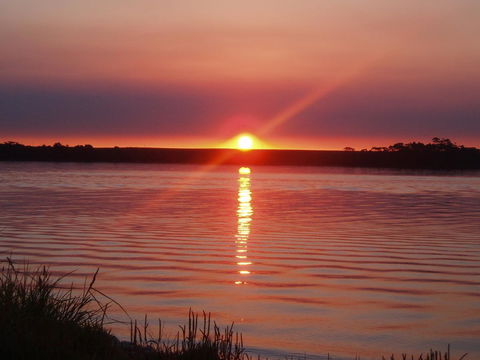 Regatta Point Tavern & Holiday Villas - Australian Directory 41