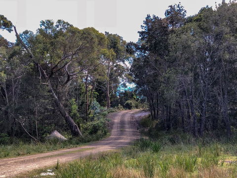 BAY OF FIRES ECO HUT Off Grid Experience At Binalong Bay - Australian Directory 12