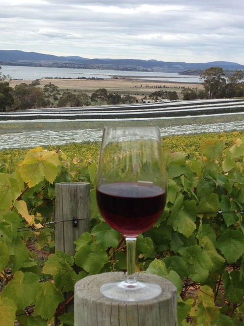 Bellerive Marina View Apartments No 28 - Australian Directory 31