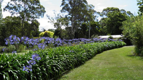 Tamar River Retreat - Australian Directory 11