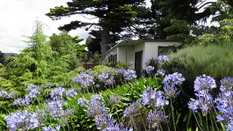 Tamar River Retreat - Australian Directory 28