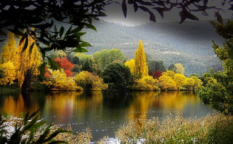 Platypus Playground Riverside Cottage - Australian Directory 15