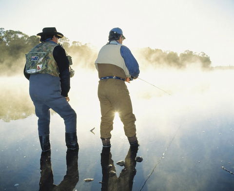 Platypus Playground Riverside Cottage - Australian Directory 25