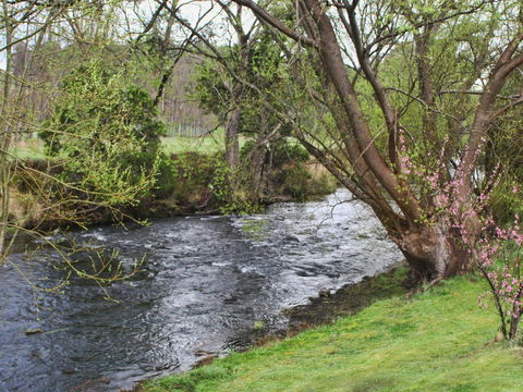 Platypus Playground Riverside Cottage - Australian Directory 22