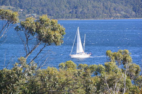 The Tree House - Australian Directory 5