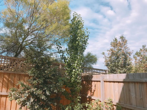 Ellia Doncaster Apartment - Australian Directory 17